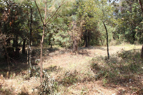 Terreno En Paraje Tetecuintla