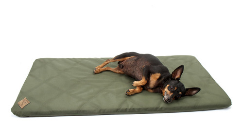 Colchonete Resistente Verde Bichinho Chic M