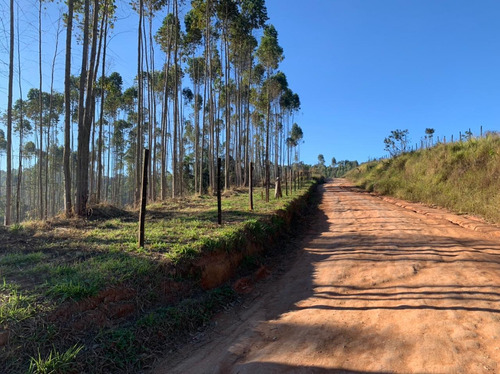 Imagem 7 de 7 de Aqui Tem Terrenos Ótimos, 1000m² De Área Útil