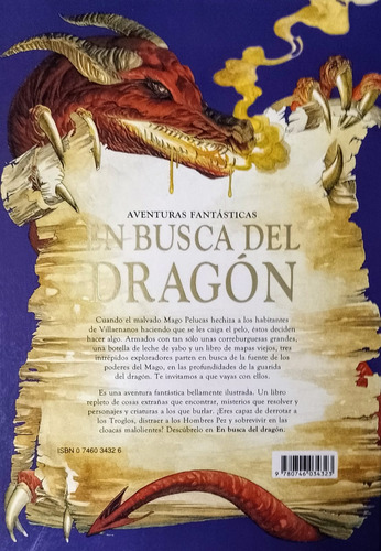 Libro En Busca Del Dragon