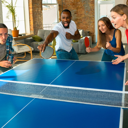 Mesa De Ping Pong Plegable