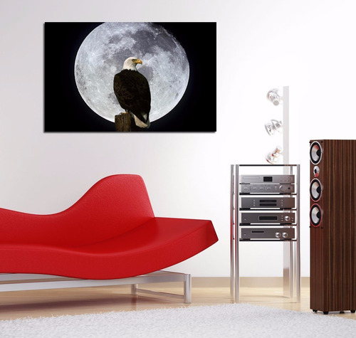 Vinilo Decorativo 40x60cm Aguila Calva Aves Animal Luna