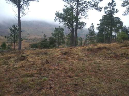 Macrolote En Venta San Clemente