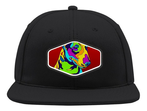 Snapback Perro Colores Gorro Bordado