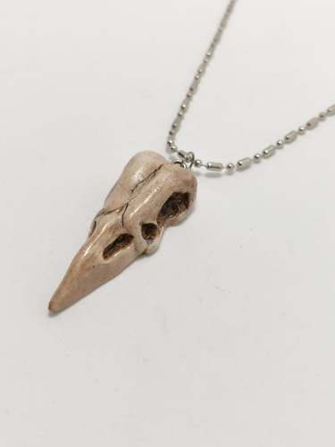 Imagen 2 de 4 de Collar Dije Cráneo Cuervo Calavera Skull Envío Gratis