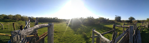 Imagen 6 de 9 de Venta Campo - Zona Talita - Concepcion Del Uruguay