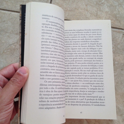 Livro O Valor Do Amanhã - Eduardo Giannetti T2