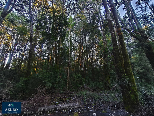 Espacio Ideal 6 Hás, Automó, Puerto Montt. (176432)