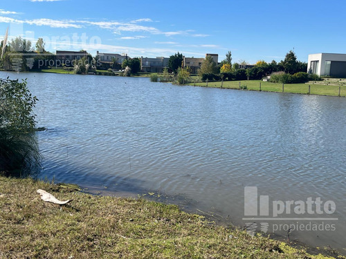 Terreno En Venta En San Marco, Villanueva