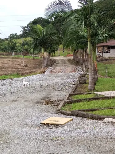 Fazenda De Piscicultura