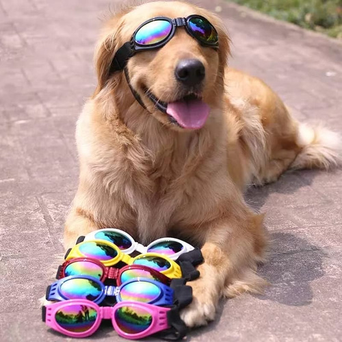 Imagen 6 de 10 de Gafas Lentes De Sol Uv Para Perro Mascotas Mediana A Grandes