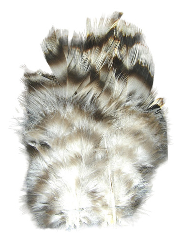 Dry Fly Tail Feathers. Plumas P/cola Moscas Secas.