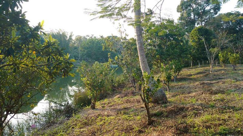 Venta Terreno 5000 M2 Frente Al Estero De Juana Moza Tuxpan Veracruz