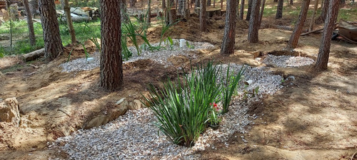 Cabaña En Punta Del Diablo Zona Bosque Ideal Para Parejas O Tres Personas , Cercada Y Muy Segura Entorno Natural , Cercano A Playa Grande