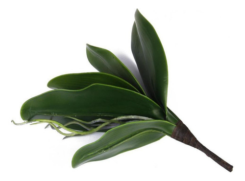 10 Piezas De Hoja De Orquídea De Mariposa Artificial Verde