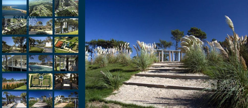 Imagen 3 de 11 de Pinar Del Faro - Jose Ignacio 1548 M2