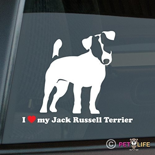 Pegatina De Pvc Con Texto  I Love My Jack Russell Terrier  P