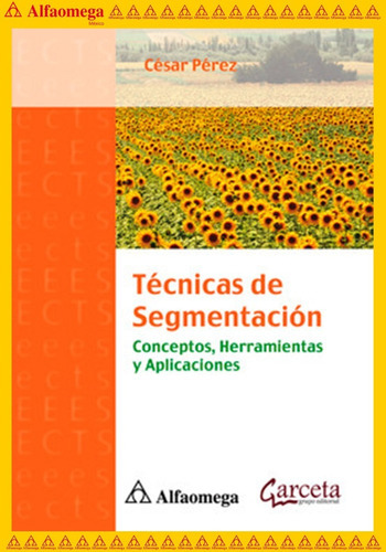 Técnicas De Segmentación - Conceptos, Herramientas Y Aplicaciones, De Pérez, César. Editorial Alfaomega Grupo Editor, Tapa Blanda, Edición 1 En Español, 2013