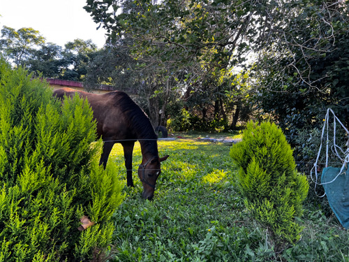 Casa Campo  Sobre Ruta En Solís 