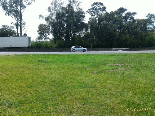 Imagem 2 de 12 de Vende Área Industrial Rodovia Presidente Dutra-sp 179.000m2