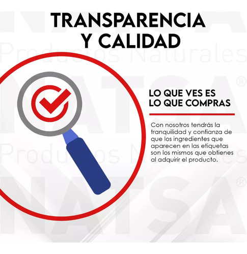 Natsa Curcuma Y Jengibre 100 Cápsulas, Calidad Premium Sfn