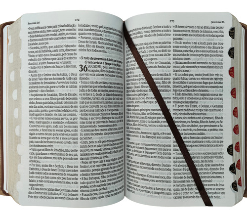 Biblia Sagrada Rc Dicionario E Concordancia Letra Gigante Capa Luxo Azul Com Indice Lateral Palavras De Jesus Em Vermelho