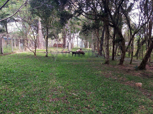 Imagem 10 de 15 de Area - Contenda - Ref: 3923 - V-3923