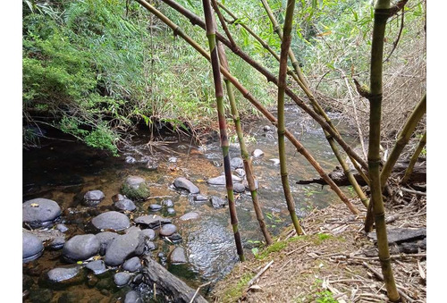 Parcela Ruta Villarrica - Panguipulli