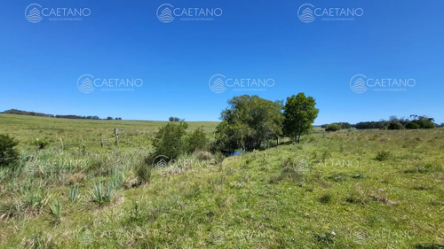 Venta Chacra Jose Ignacio Con Costa Arroyo Anastasio