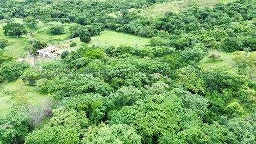 Finca Hacienda En Venta San Casimiro Aragua 25-2969 Wjo