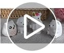Lámpara De Noche Led L Lohas Para Niños, Lámpara De Noche 3d