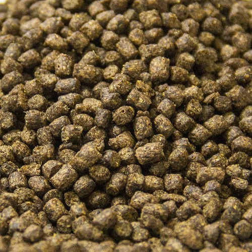 10 Kg De Alimento Para Alevin, Peces, Tilapia Carpa + Regalo