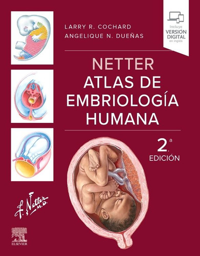 Netter Atlas De Embriología Humana 2ed 2025