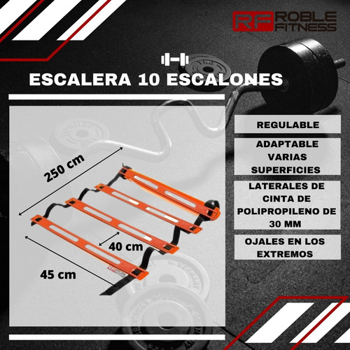 Kit Entrenamiento Step + Cono + Escalera Coordinacion