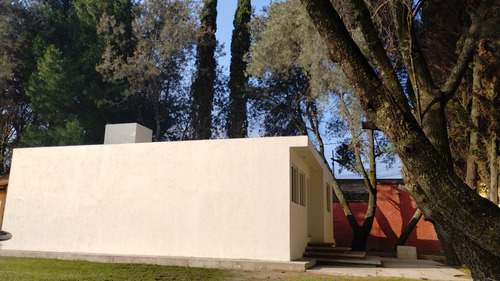 Hermosa Casa En Xochimilco/siéntete Como En El Bosque