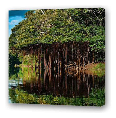 Cuadro 45x45cm Jungla Amazonas Arboles Y Hierbas M1