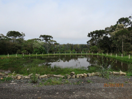 Imagem 10 de 15 de Chacara - Campina - Ref: 2046 - V-2046