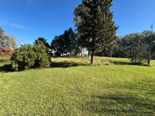 Quinta En Venta En Bragado