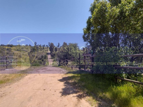 Venta Parcela En Valle Alegre Puchuncavi V Region