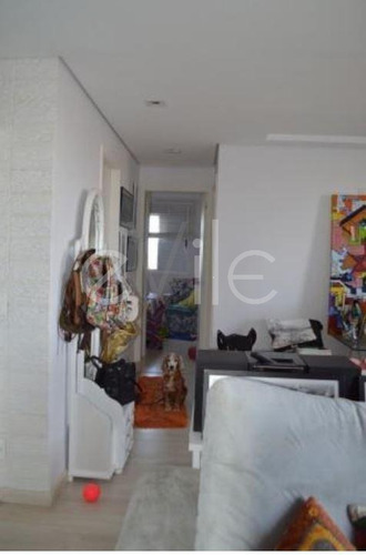 Imagem 9 de 30 de Apartamento À Venda Em Ponte Preta - Ap000474