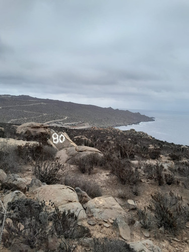 Oportunidad De Inversión Con Vista Al Mar. Panul Coquimbo