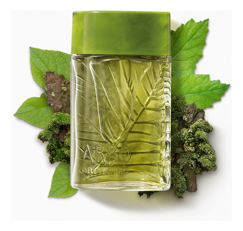Presente Arbo Forest: Colônia 100ml + Body Spray 100ml + Caixa De Presente