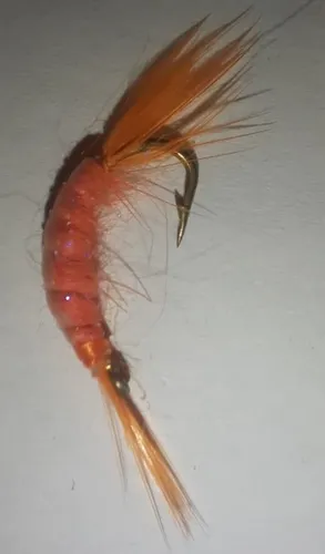 Set 7 Moscas De Pesca Fly Fishing Letales Rio