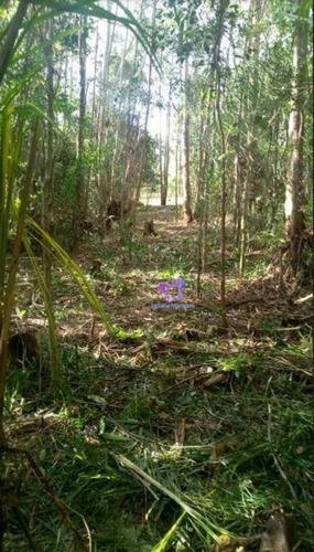 Terreno À Venda, 2600 M² Em Condomínio Fechado - Ecoville - Araçariguama/são Paulo - Te0608