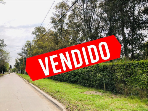 Totalmente Vendido!!!