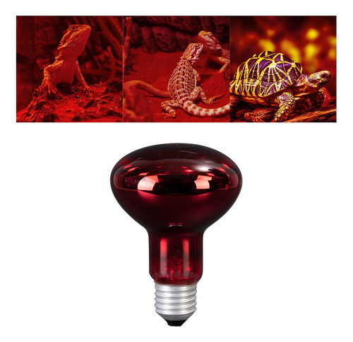Calentador De Bombilla De Luces De Calor For Mascotas,