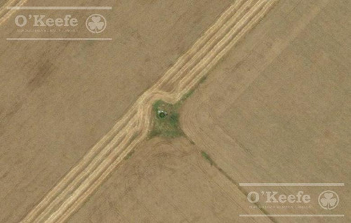 Campo De 155 Has En Venta En Benito Juarez - 100 % Agrícola - Excelente Rentabilidad