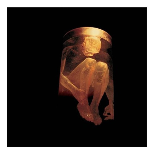 Alice In Chains Nothing Safe Best Of  Cd