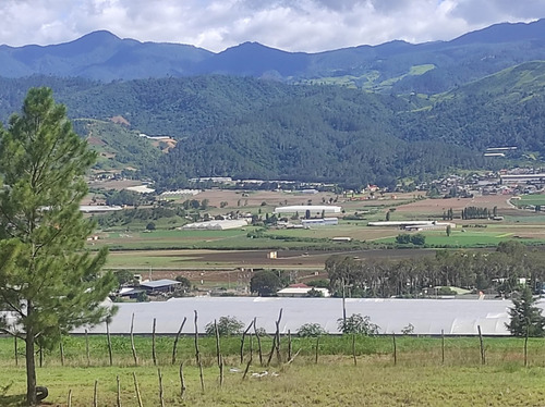Solar En Constanza Ideal Para La Construcción De Villas.