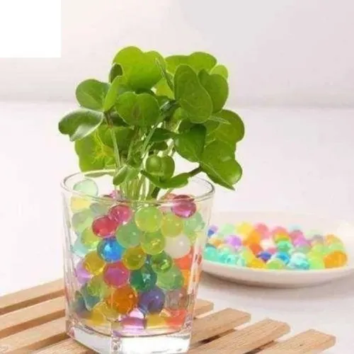 Bolitas De Gel Biogel Para Plantas Deshidratado Paquete X20